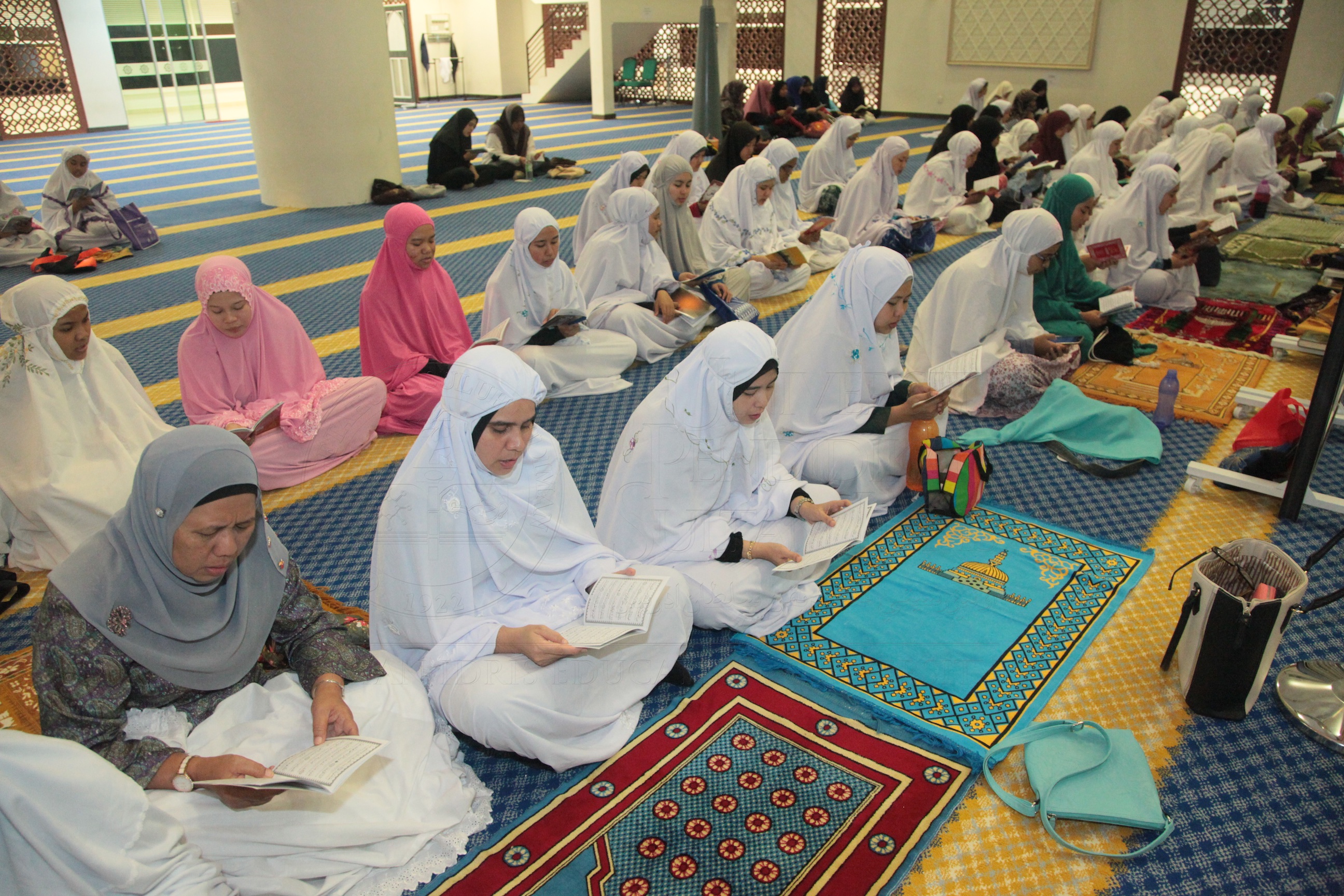 PRO16 20 yassin IMG 0366